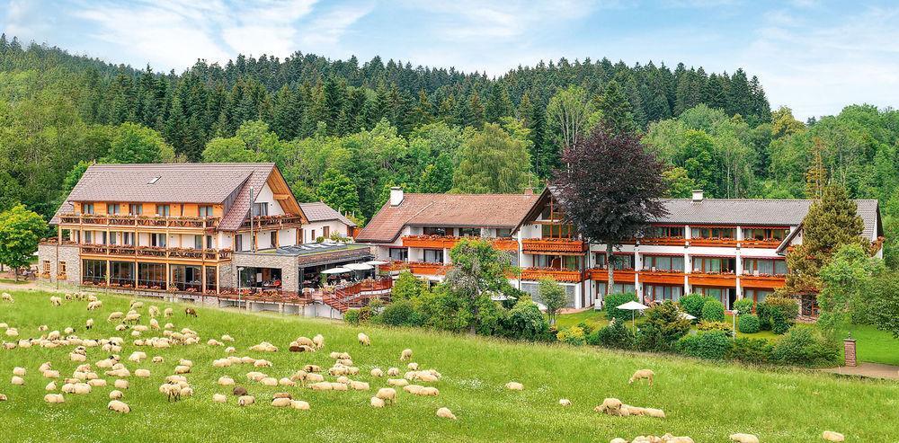 Hotel Grüner Wald Freudenstadt Dış mekan fotoğraf