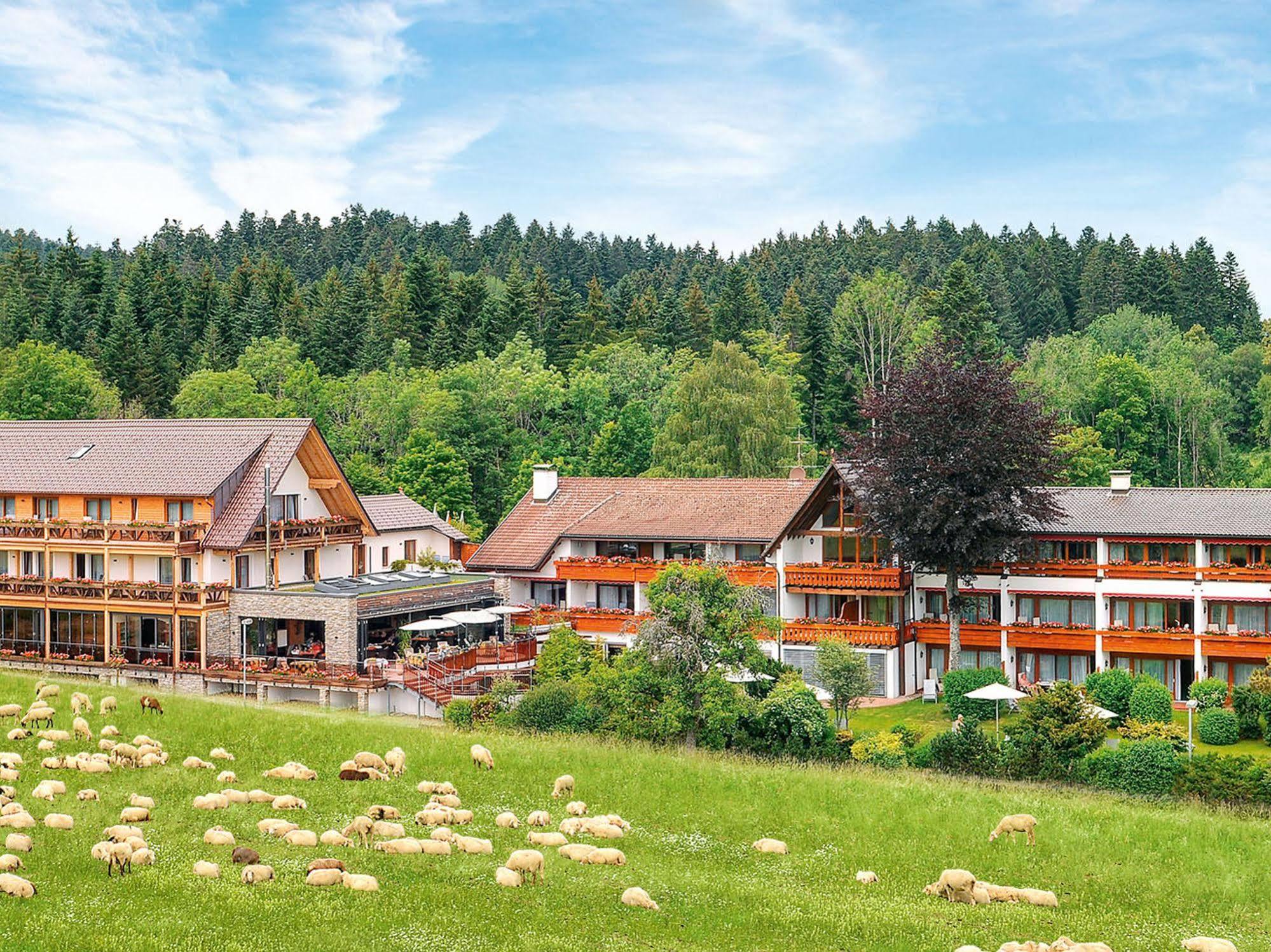 Hotel Grüner Wald Freudenstadt Dış mekan fotoğraf